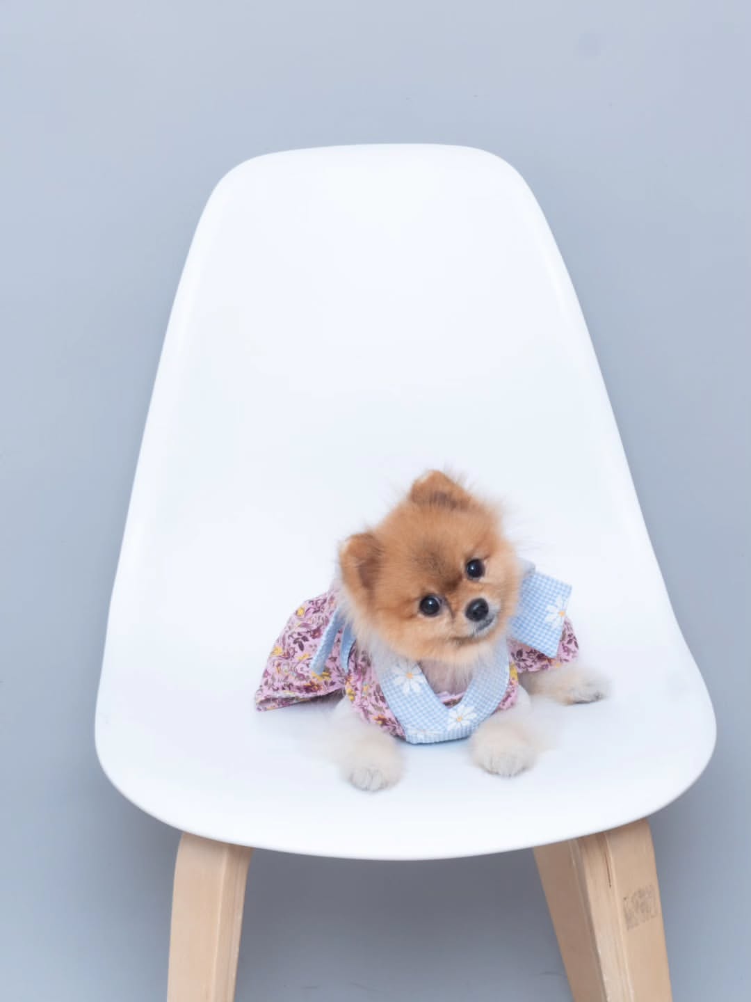 Family with pet — pawfect family portrait